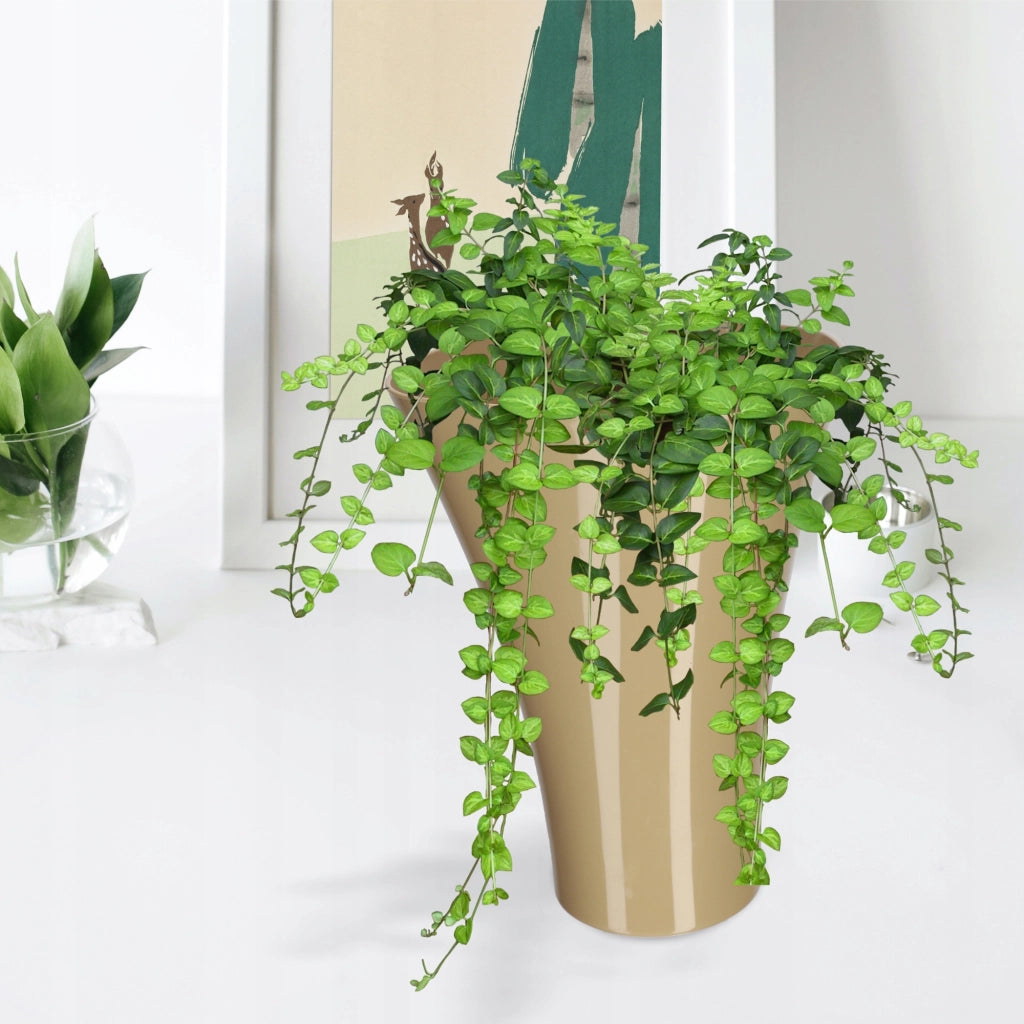KADAX Copertura per vaso da fiori e piante, supporto per fiori in plastica beige, 16,5 cm