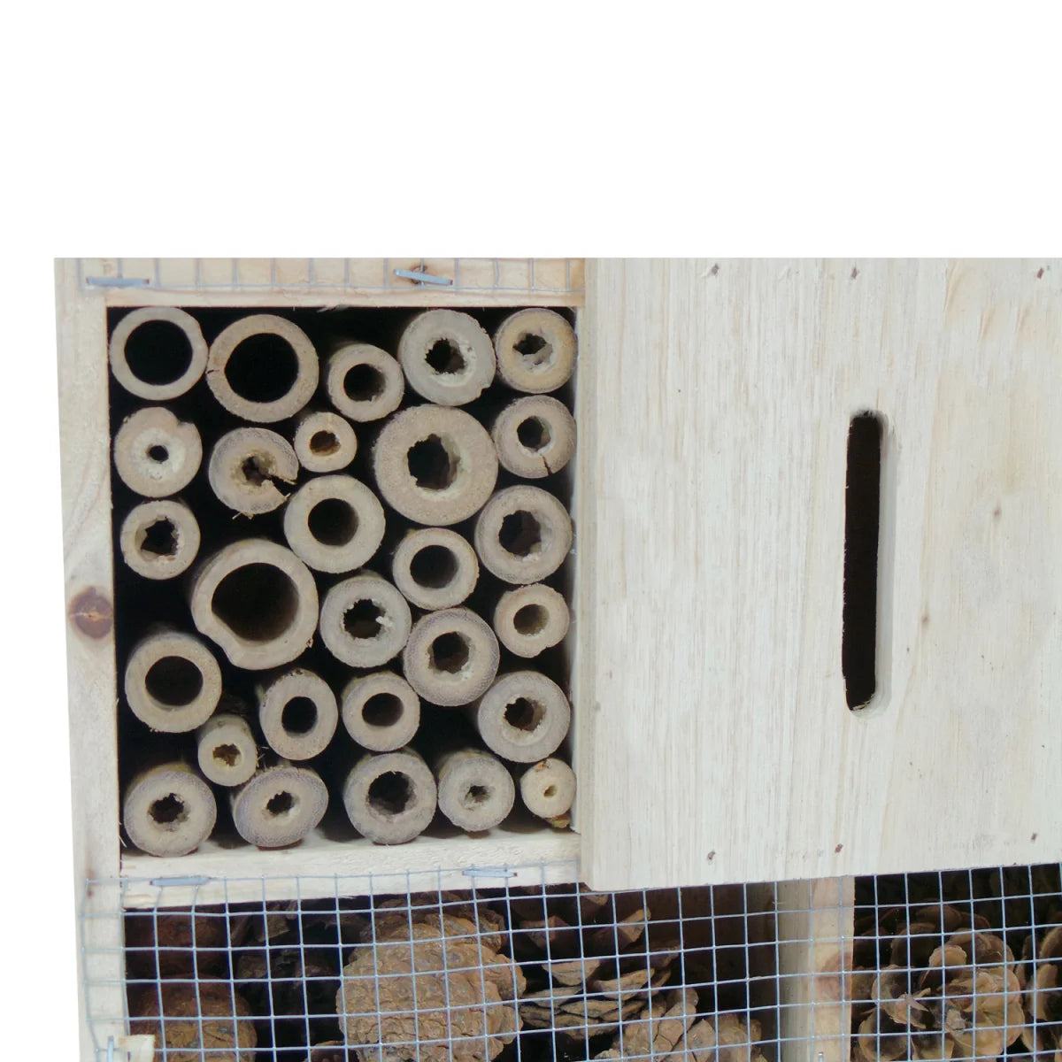 Hotel per insetti, 300 x 305