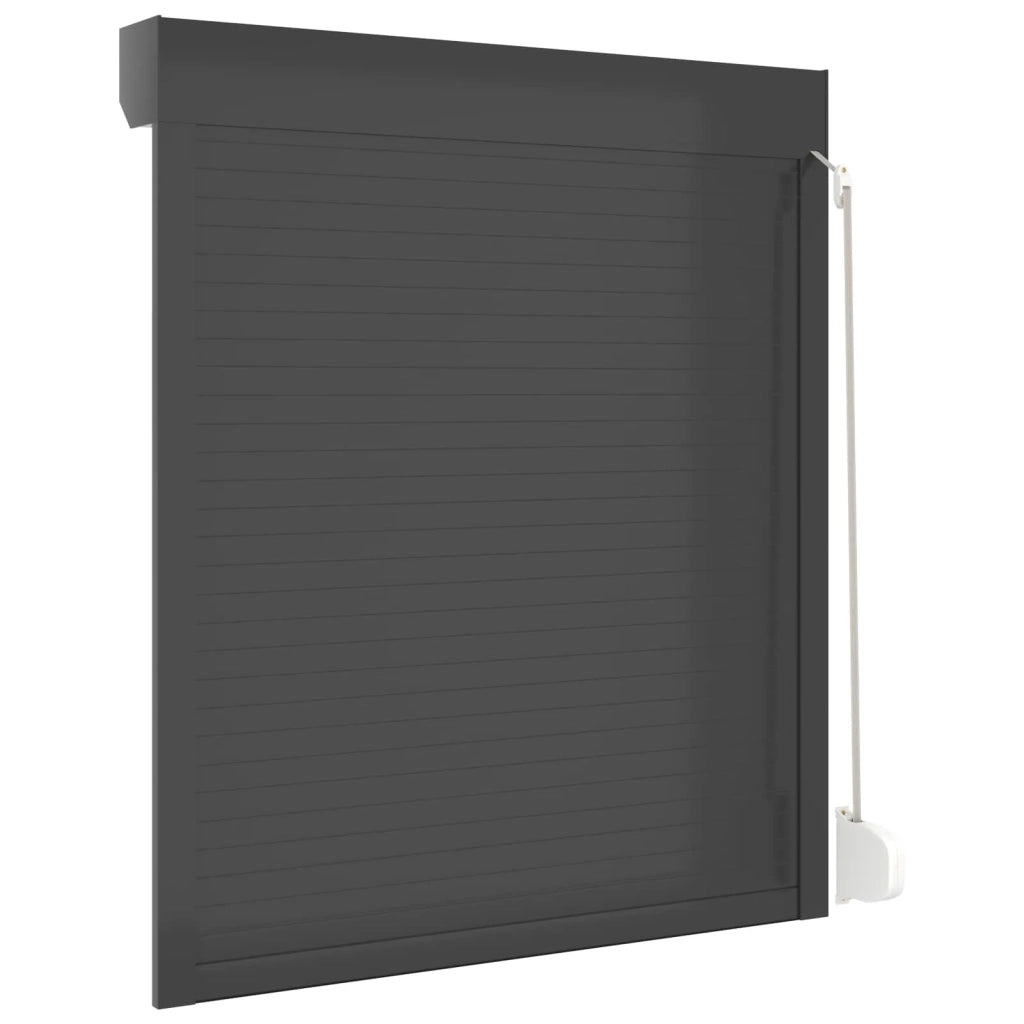 Persiana a rullo Antracite 110 x 130 cm Alluminio e poliuretano 42047069