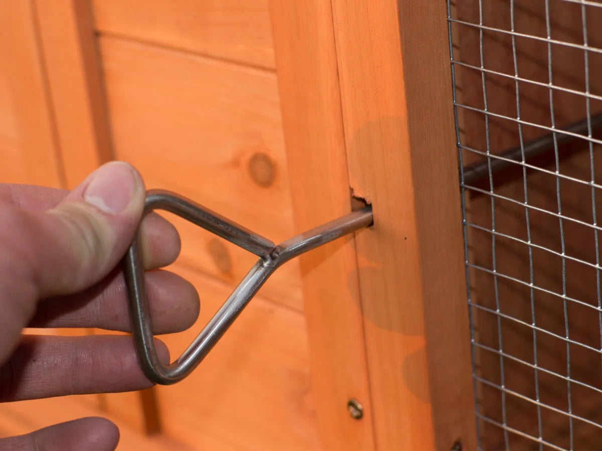 Pollaio con recinto, conigliera, conigliera per piccoli animali