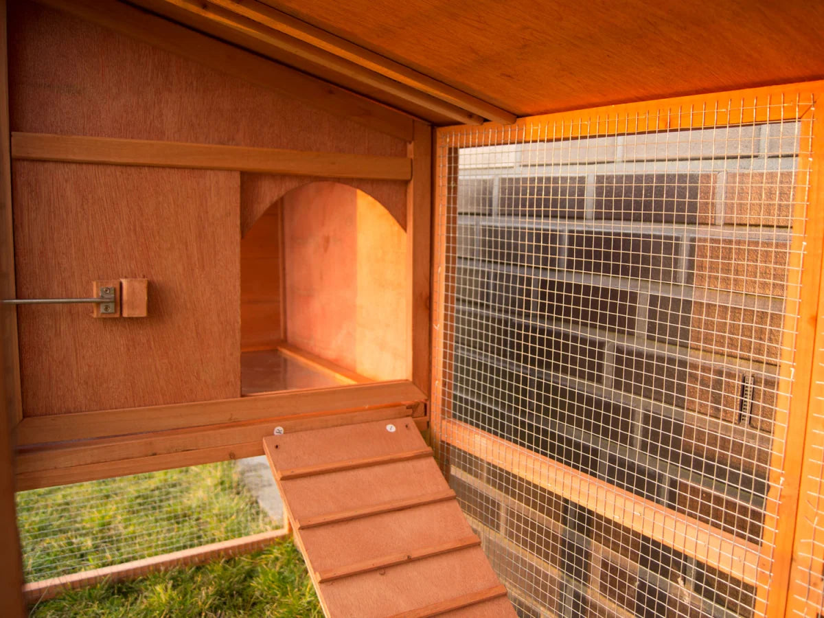 Pollaio con recinto, conigliera, conigliera per piccoli animali