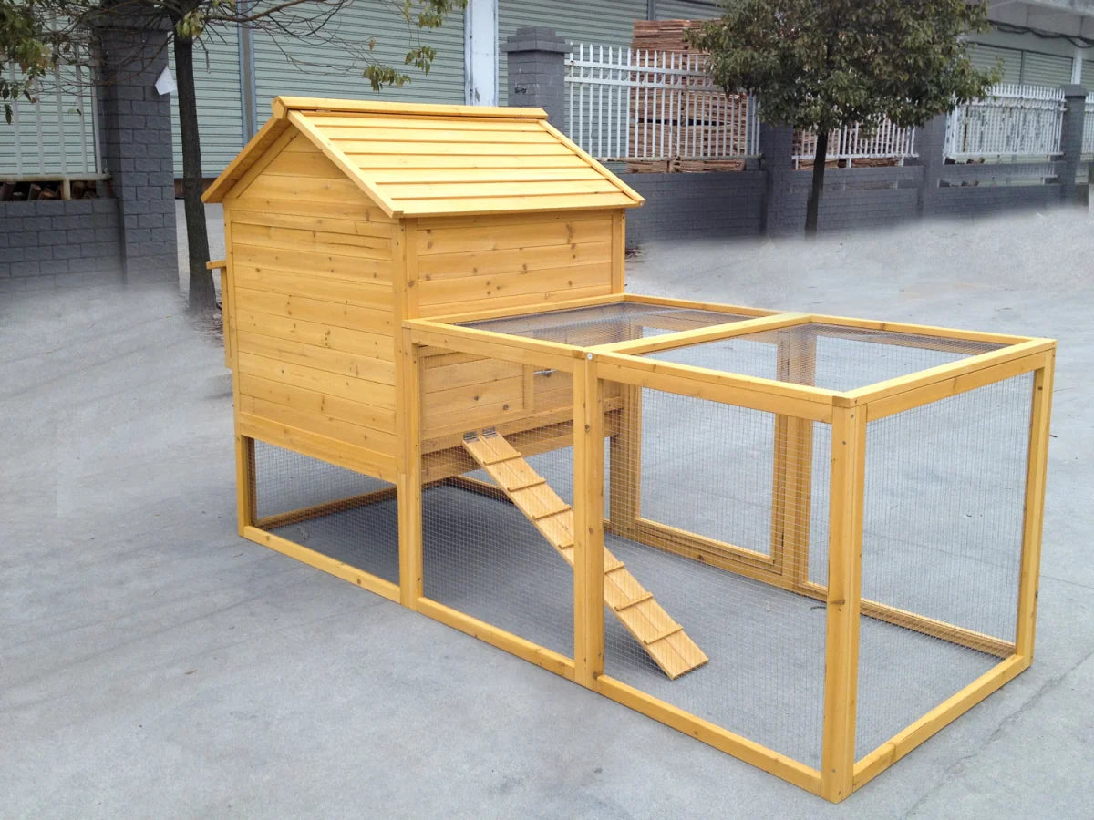 Pollaio con recinto