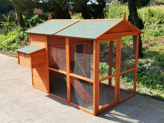 Pollaio, pollaio, extra alto