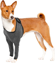 Abbigliamento per cani - Protezione per lesioni - Copertura per gomito - Supporto per avambraccio - Cuscino per anteriore - Leggero - Materiale respirabile - Abbigliamento per cani