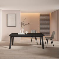 Tavolo da Pranzo, 194x90x74cm, Per 10 persone, Gambe in legno, Nero RF2919