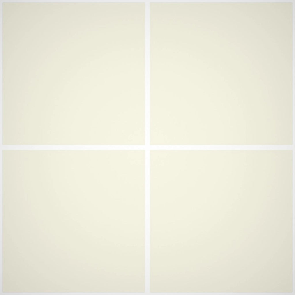 Idroblindex Smalto Murale Opaco Interno - Rivestimenti Interni 501 - Litri 0 -750