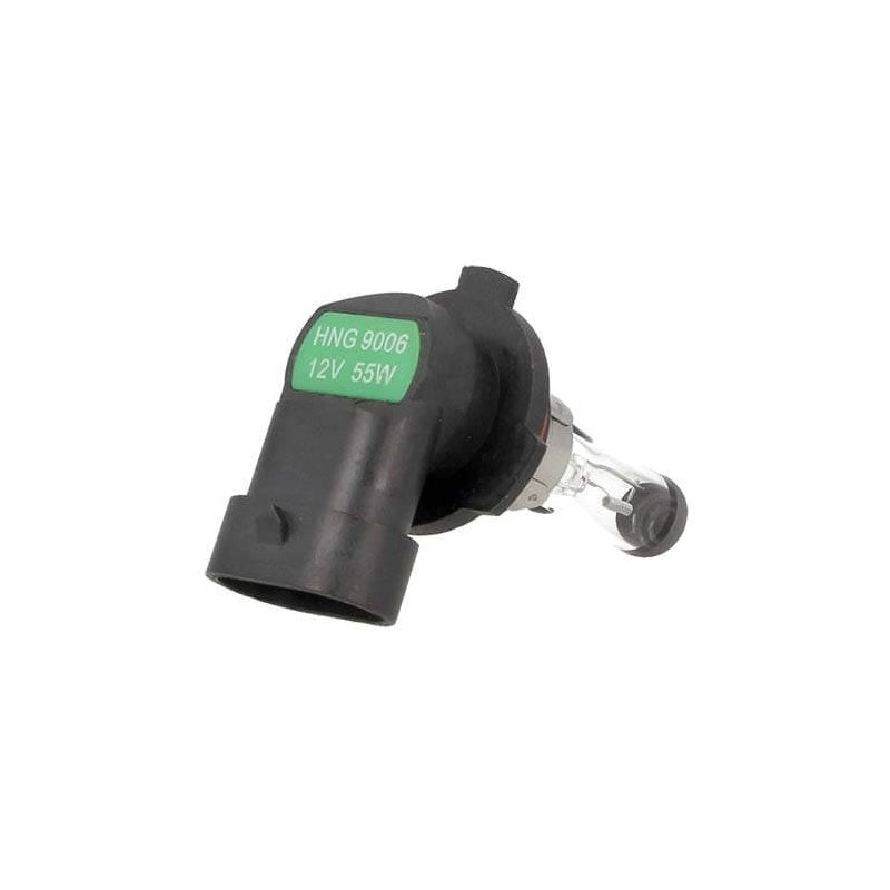 2 PZ Lampada Alogena Auto HB4 9006 12V 55W P22d Fari Anabbaglianti Trasparente