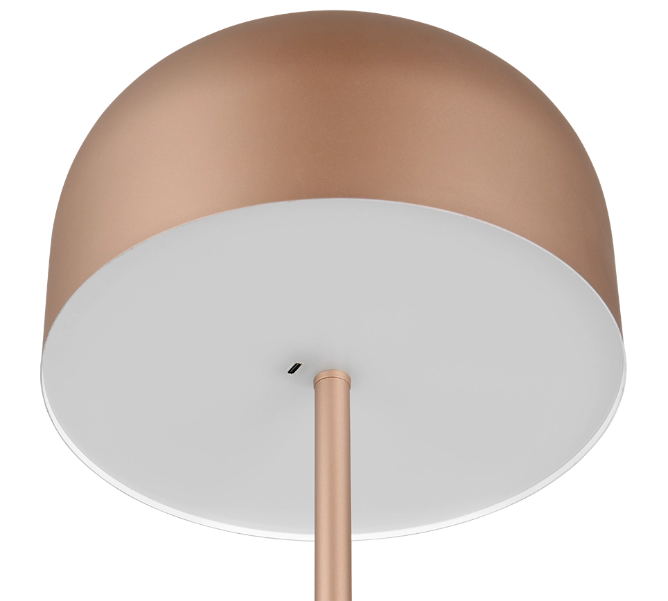 Piantana LED ricaricabile, metallo, caffè, H 147 cm, Jeff