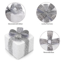 Set 3 Pacchetti Pacchi Regalo Luminosi Natale Bianco e Argento Interni e Esterni