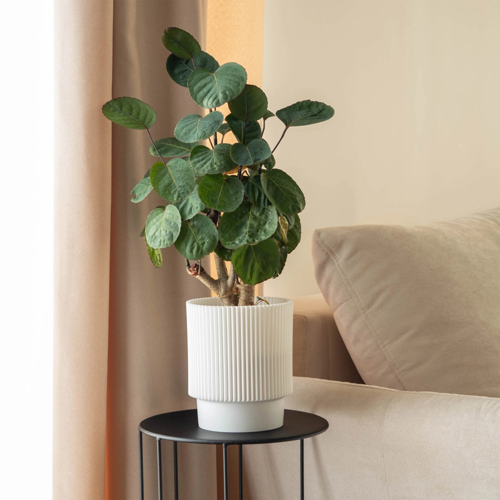 Vaso da fiori KADAX 13 cm, copripianta, vaso da fiori in plastica bianca