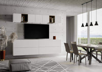 Composizione parete soggiorno A104 L.268 P.39,2 - ISOKA