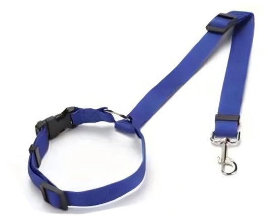 Girardi per animali domestici, cinture in nylon, cinture di sicurezza per il sedile posteriore, collari per animali domestici adattabili, accessori per animali domestici, Blu, 35-47,5*42,5-75cm