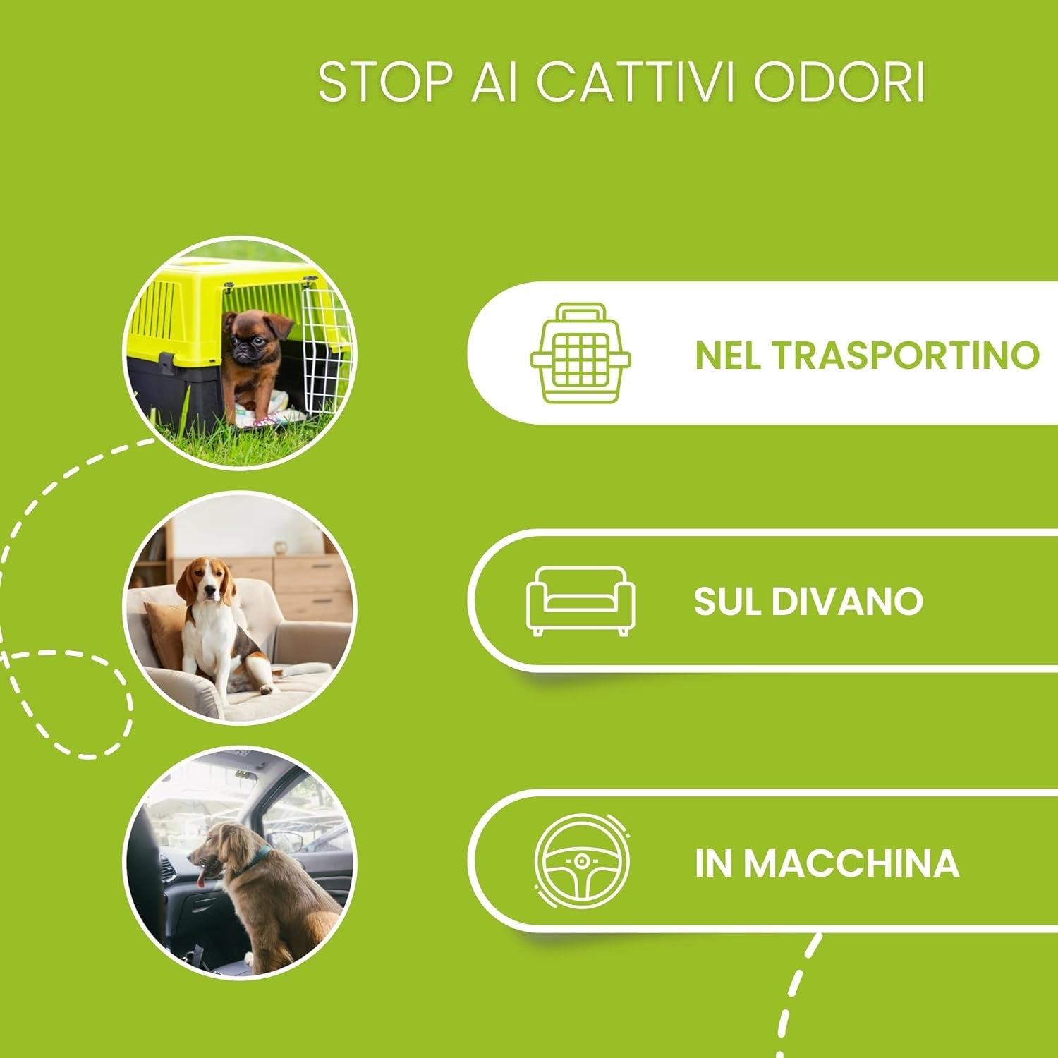 120pz Tappetini Igienici Traversine Cane Super Assorbenti 60x60cm con adesivo