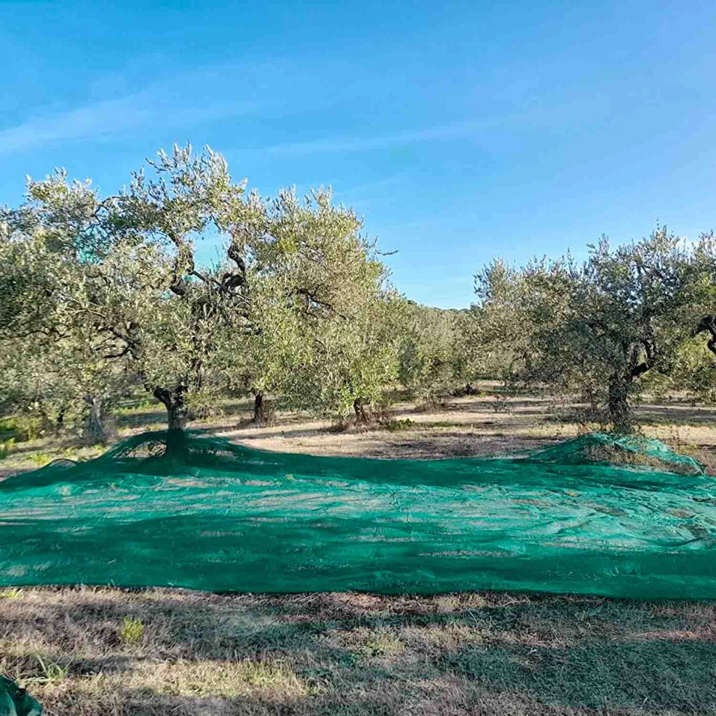 Rete antispina per raccolta olive 85 gr/mq - rotoli di varie dimensioni (50 mt - altezza 10 mt)