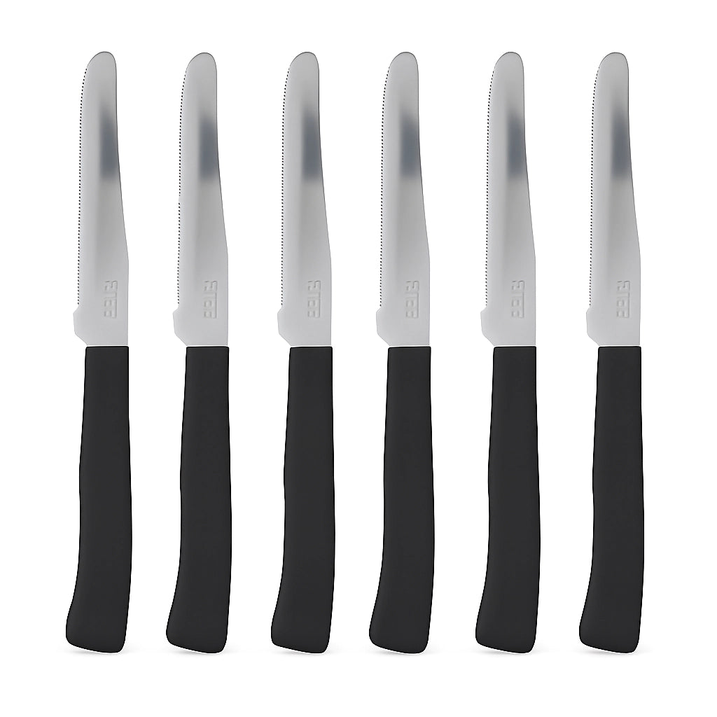Coltelli da Tavola 24pz Manico in Polipropilene Doppia Affilatura 22cm Nero