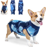 Pantaloncini per cani, giacca chirurgica per cani dopo intervento, giacca chirurgica per corpo canino dopo intervento, camicia a scacchi blu