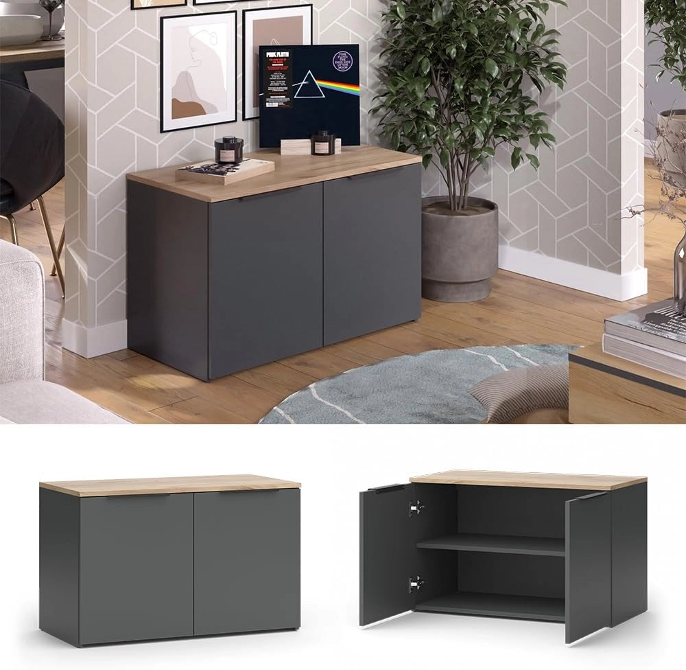 Credenza Wido, Antracite, 80 x 50 cm con 2 porte, adatto per riporre abiti e oggetti per la casa