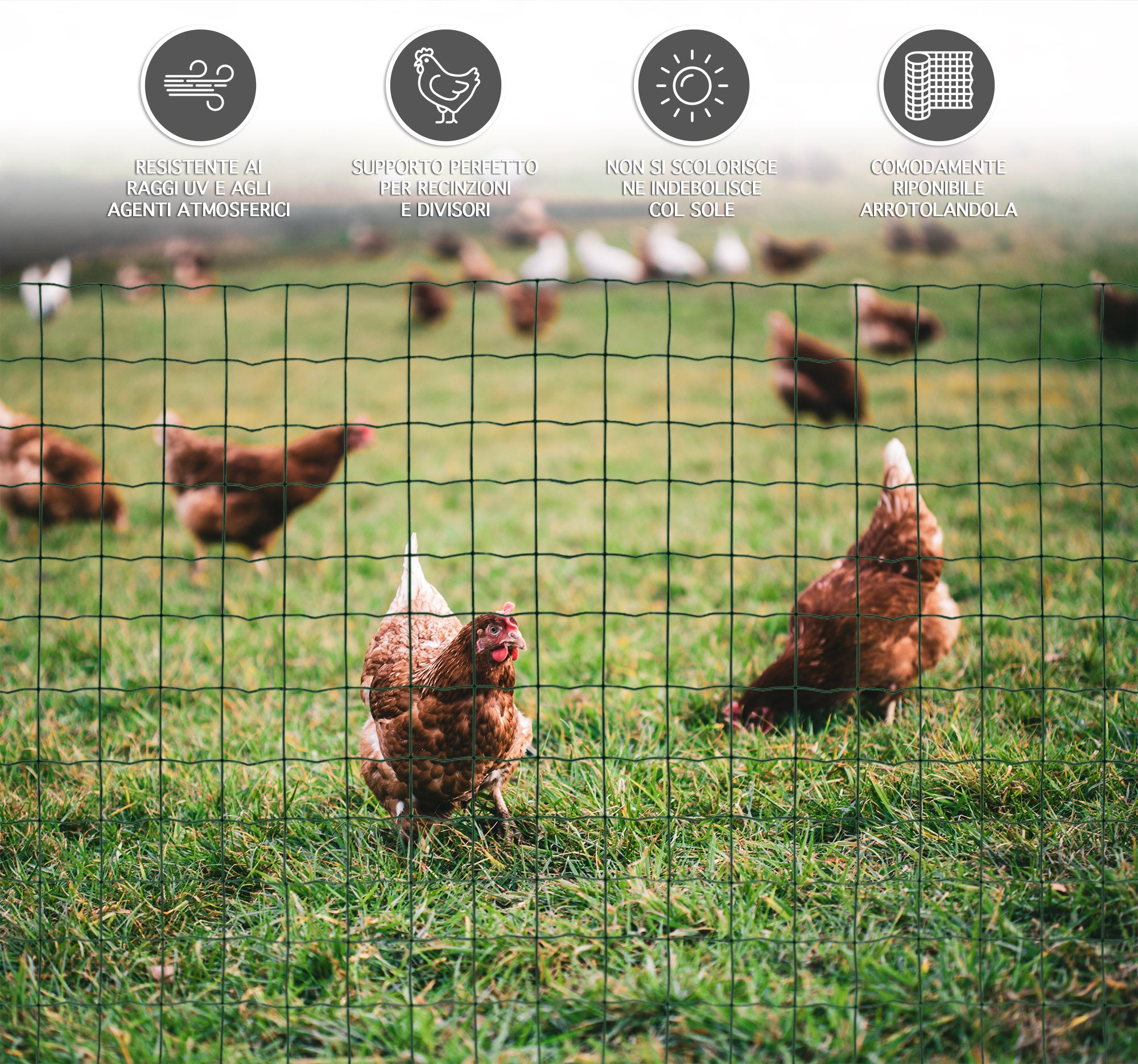 Rotolo Rete Metallica Antiruggine Per Recinzione Lunghezza 25 Metri Varie Altezze Acciaio Zincato Rivestito Pvc Recinzioni Giardino Terrazzo Pollaio Animali Ringhiere Cancelli Gabbie - 2.0x25Mt