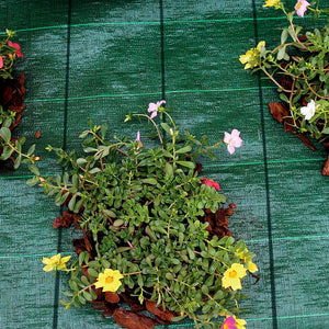 Telo Pacciamatura Premium Stop Erbe Infestanti Antistrappo Uv Resistente Permeabile Drenante Telo Orto Giardino Serra Polipropilene Contro Le Erbacce Pavimentazioni Pavimento - 1x20 Mt