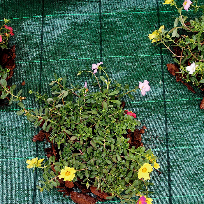 Telo Pacciamatura Premium Stop Erbe Infestanti Antistrappo Uv Resistente Permeabile Drenante Telo Orto Giardino Serra Polipropilene Contro Le Erbacce Pavimentazioni Pavimento - 2x20 Mt