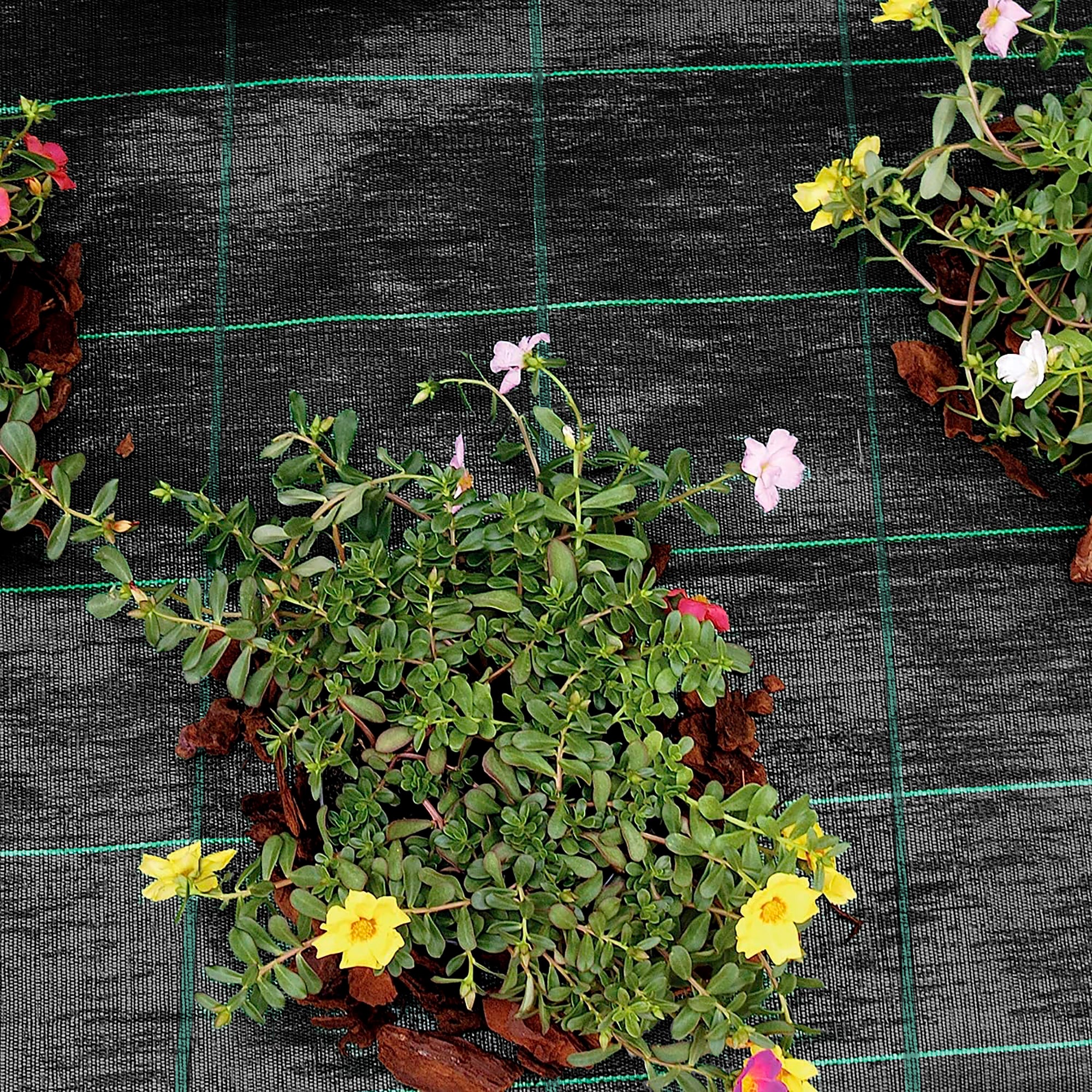 Telo Pacciamatura  Antistrappo Uv Resistente Permeabile Drenante Orto Giardino Serra Polipropilene Contro Le Erbacce Copertura Pacciamante Super Resistente Stop Erbe Infestanti 2.10x20Mt