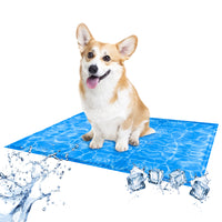 Tappetino Refrigerante Per Cani Gatti Tappeto Rinfrescante In Gel Animali Domestici Cane Gatto Fresco Estate Cuscino  Animali Materassino Non Tossico Estivo  50x65 cm