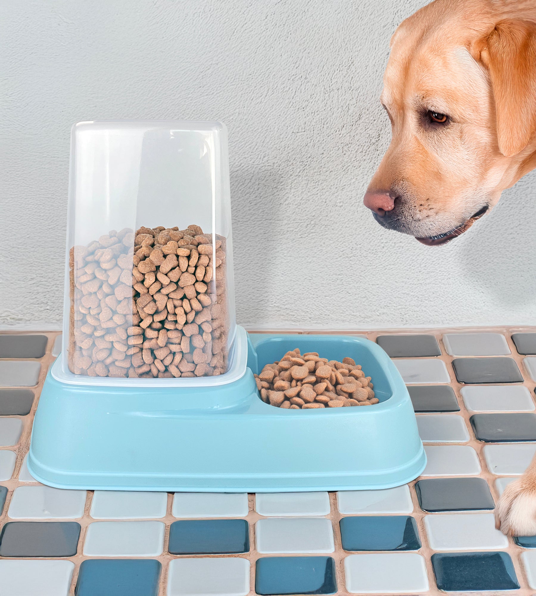 Dispenser Cibo Acqua Gatti Cani Distributore Automatico Crocchette Grande Capiente 8 Litri Per Animali Di Tutte Le Taglie