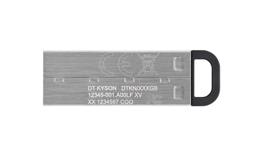 Kingston DTKN/256GB