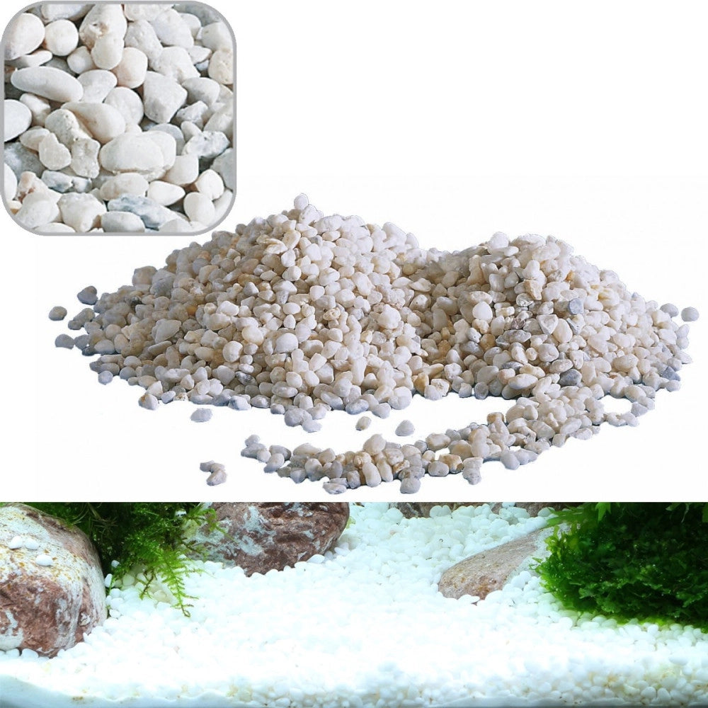 Trade Shop - Ghiaia Noa Media Decorativa Per Acquario Acquari Kg. 2.0 River Rocks Per Fondale -