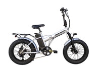 FAT ACCIAIO batt.36v x 10ah argento