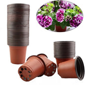 Schede per Semi 100 pezzi - Vaso di Cultivo in Plastica - Vaso per Semi Riciclabile - Fusto di Scarico per Draining - 9 cm Altezza - Leggero e Sostenibile - Vaso per Semi