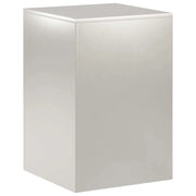 Supporto per piante Argento 40 x 40 x 60 cm Acciaio 8012538
