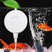 Mini pompa di aria per acquario - Economica e efficiente fornita di ossigeno con pietra di aria