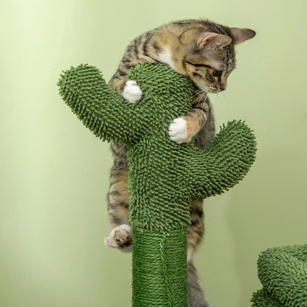 Albero tiragraffi per gatti con cuscino e palla ¨C zephmum ¨C 68x30x67 cm verde