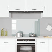 Paraschizzi per Cucina-Protezione parete cucina Trasparente 100x60 cm in Vetro Temperato