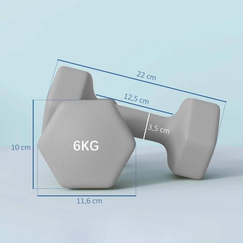 Set di 2 manubri da 6 kg, design esagonale, adatti a pavimenti, antiscivolo, colore grigio.