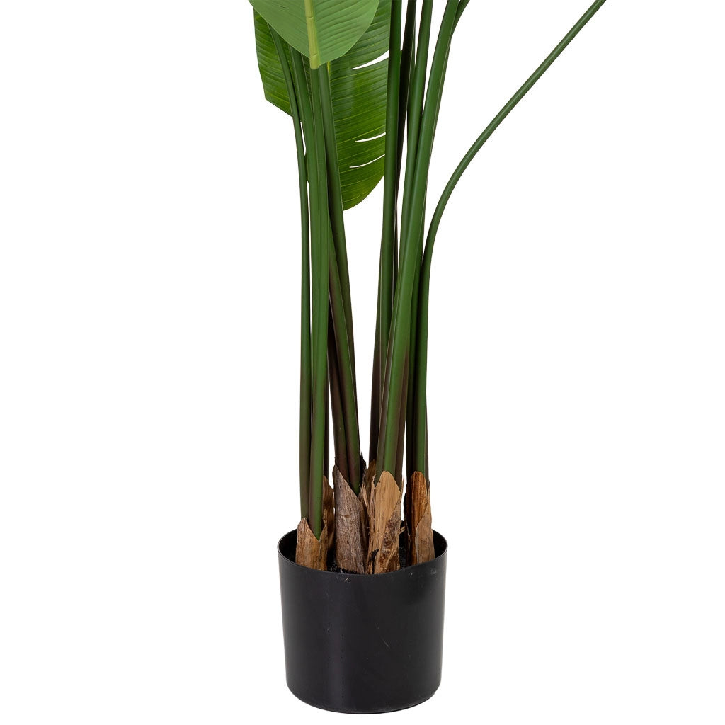 Sterlitzia decorativa artificiale con 18 foglie verde 95x95x240