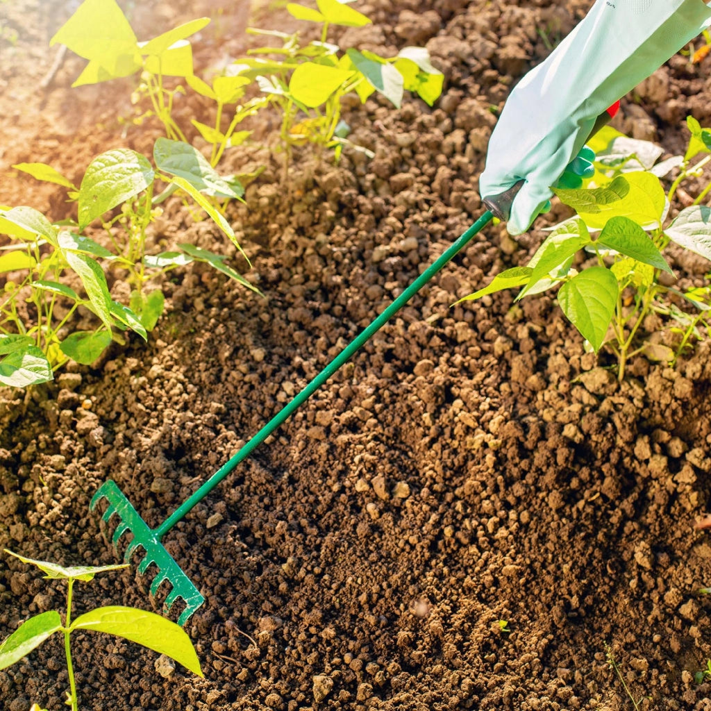 Rastrello in metallo KADAX per foglie, erba, giardino, piccolo rastrello, 60 cm, 8 denti, manico