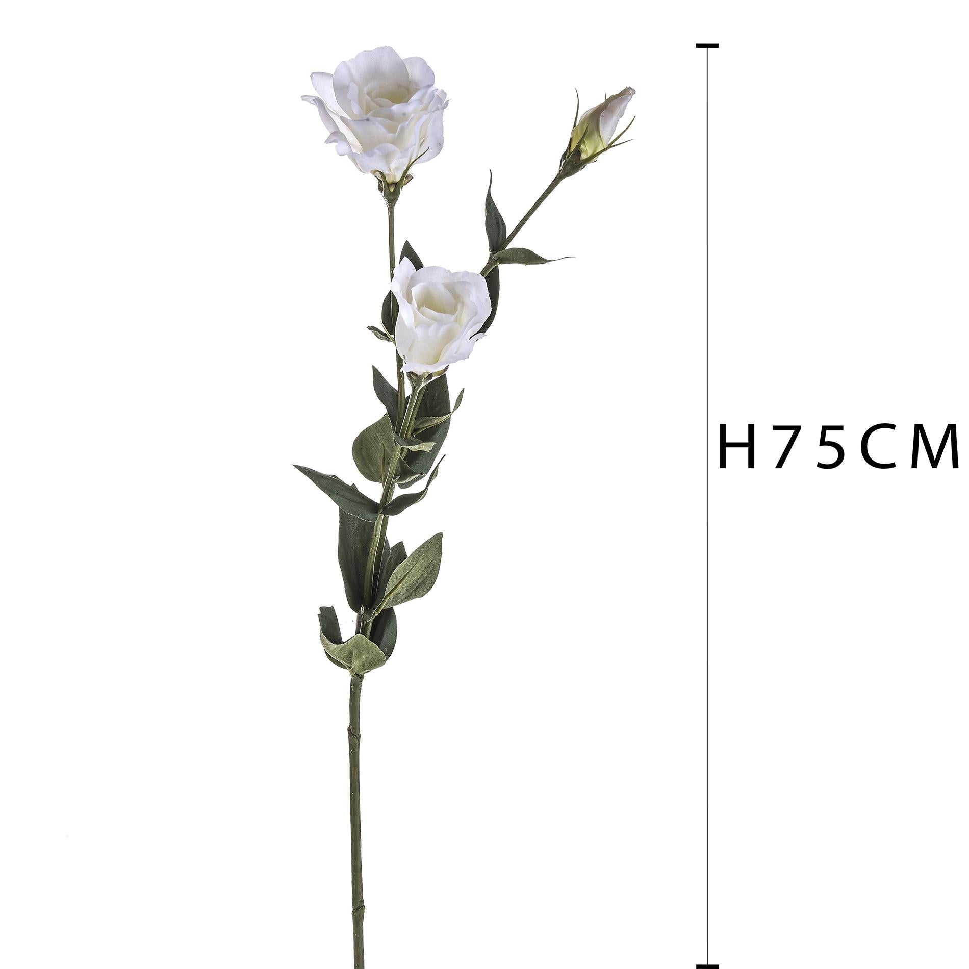 Set 6 Lisianthus Artificiali con Fiori Altezza 75 cm Bianco