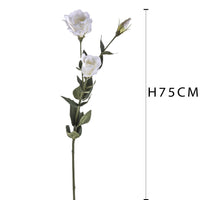 Set 6 Lisianthus Artificiali con Fiori Altezza 75 cm Bianco