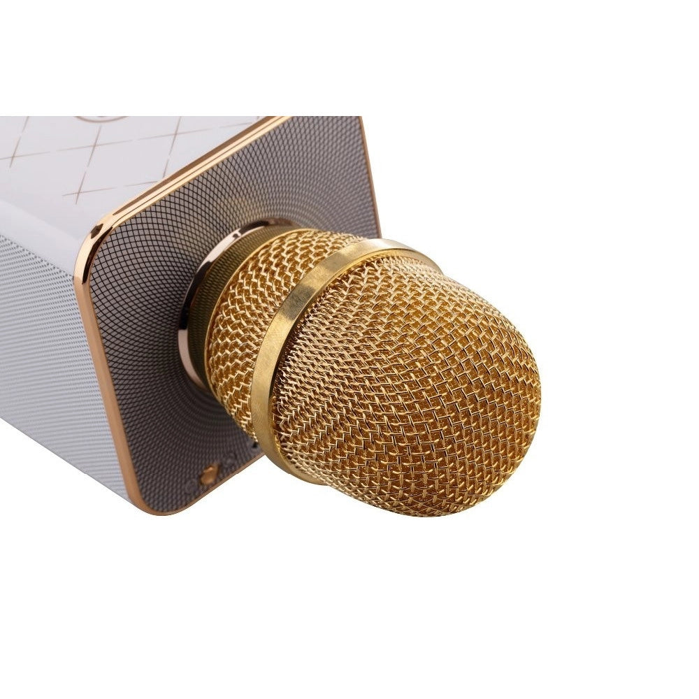 Trade Shop - Microfono Bluetooth Wireless Doppio Altoparlante Speaker Bluetooth Portatile -