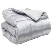 Piumone | Duvet Invernale Argento 140 x 220 cm Satin e Micropile