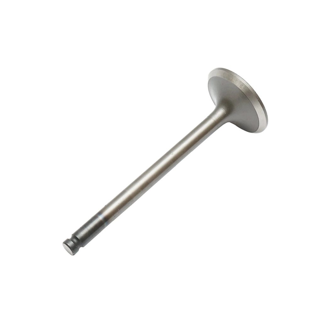 Valvola di aspirazione Massey Ferguson codice OEM 731151M1