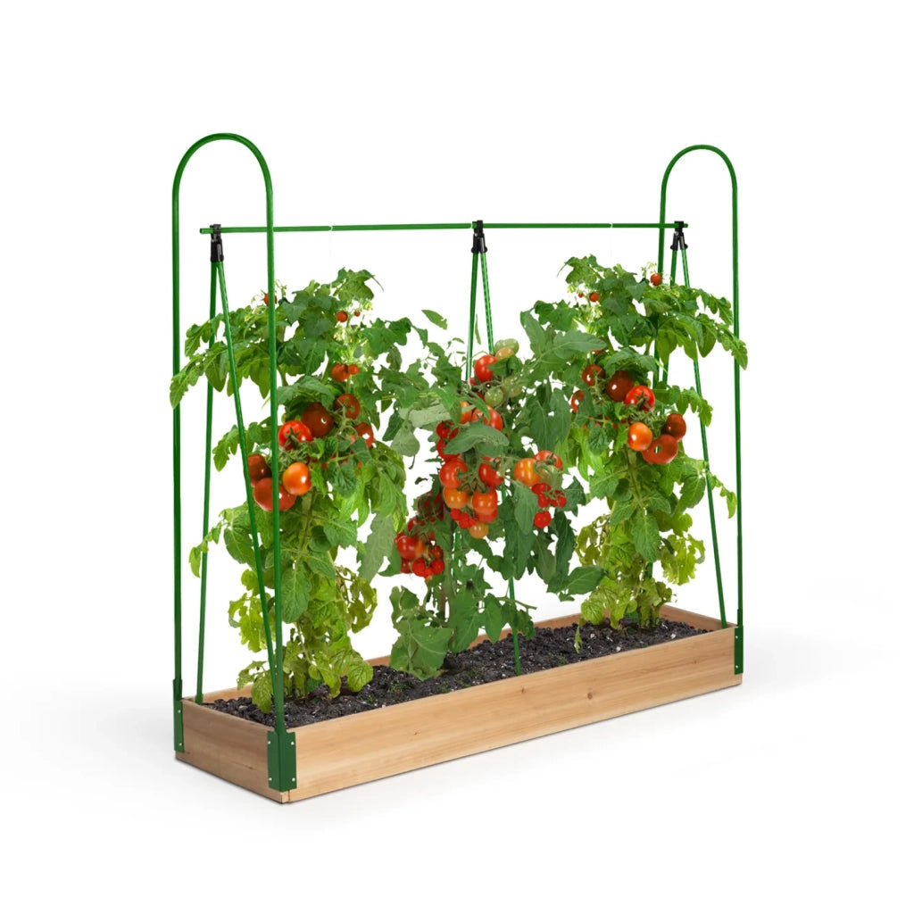 IDMarket - Serra per pomodori, kit completo a crescita speciale : telo + supporto