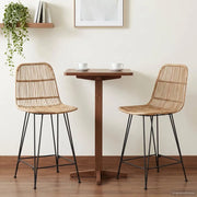 Sgabello da bar 2 pcs Naturale 44 x 54 x 96 cm Rattan e acciaio