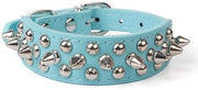 Cinturino per Cani in Pelle Liscia con Studs e D-Ring - Disegno Unico - Ideale per l'Addestramento