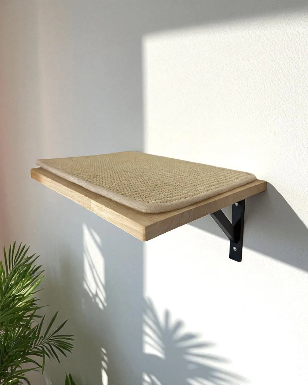 Cremagliera per gatti ad ancora