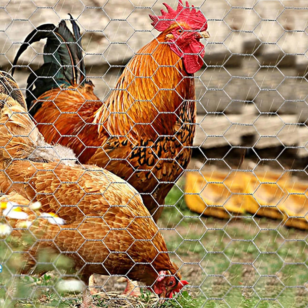 Rete Metallica Zincata Maglia Esagonale 40 cm x 6 Mt Recinzione Polli e Conigli