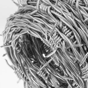 Bobina Filo Spinato Zincato 100 Metri Matassa Rotolo Metallico per Fai da Te