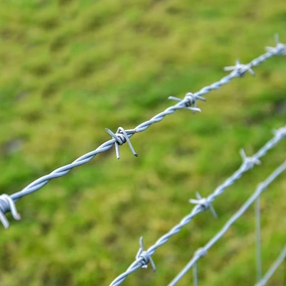 Bobina Filo Spinato Zincato 100 Metri Matassa Rotolo Metallico per Fai da Te